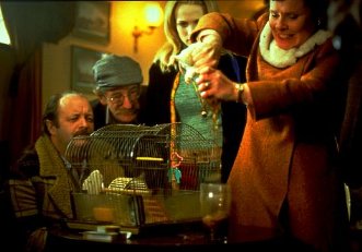 Фото - Мистер крыс: 331x231 / 19 Кб