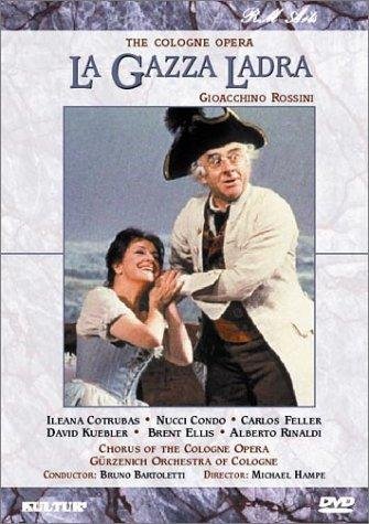 Фото - Сорока - воровка: 335x475 / 50 Кб