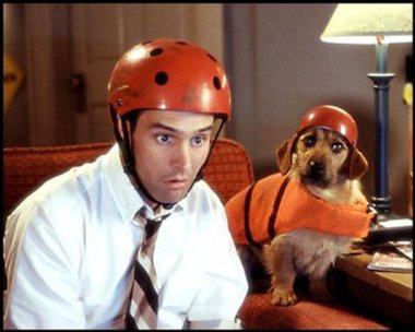 Фото - Фрэнк Маккласки, страховой детектив: 380x304 / 26 Кб