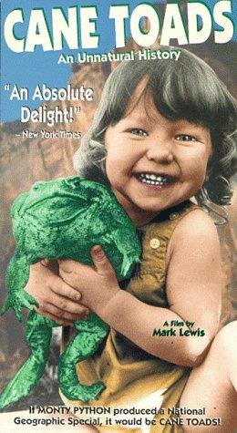 Фото - Тростниковые жабы: 260x475 / 48 Кб