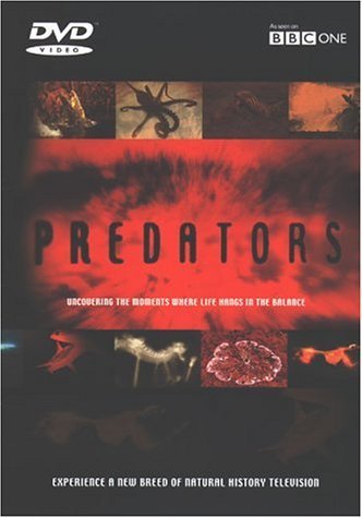 Фото - BBC: Идеальные убийцы: 332x475 / 27 Кб