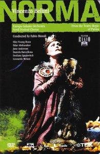 Фото - Норма: 195x300 / 24 Кб