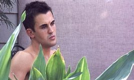 Фото - С Днем Рождения: 267x159 / 13 Кб