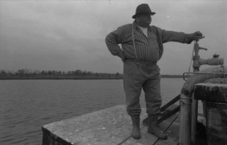 Фото - Шульце играет блюз: 320x205 / 11 Кб