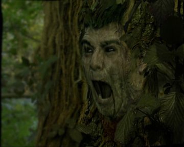 Фото - Мертвый лес: 360x288 / 17 Кб