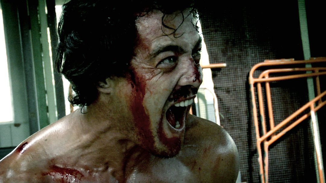 Фото - Всадник: 1080x608 / 121 Кб