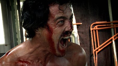 Фото - Всадник: 394x222 / 21 Кб