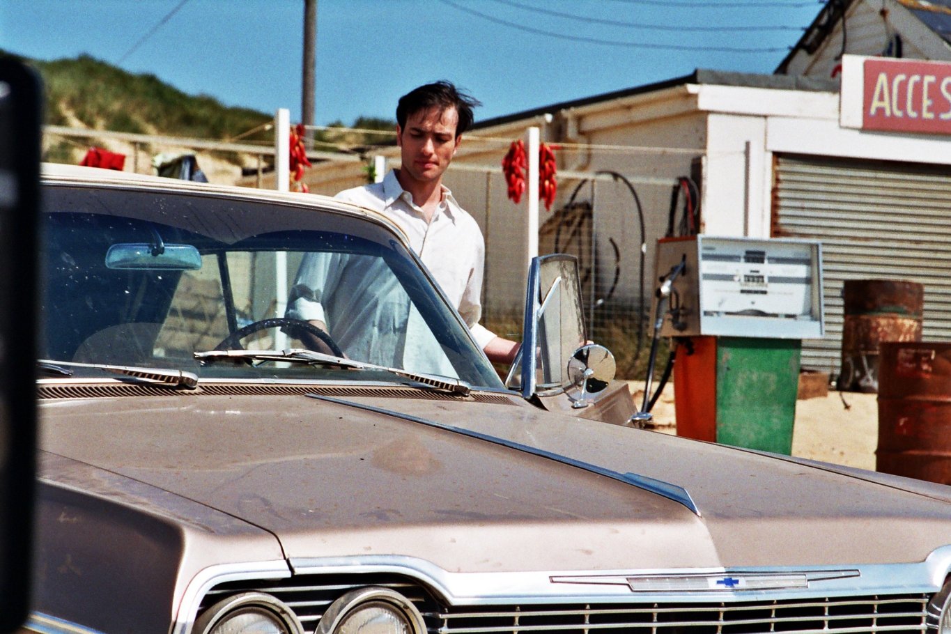 Фото - Дивизия радости: 1365x910 / 250 Кб