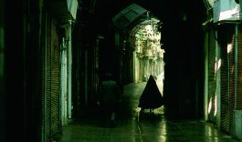 Фото - Это зима: 265x156 / 11 Кб