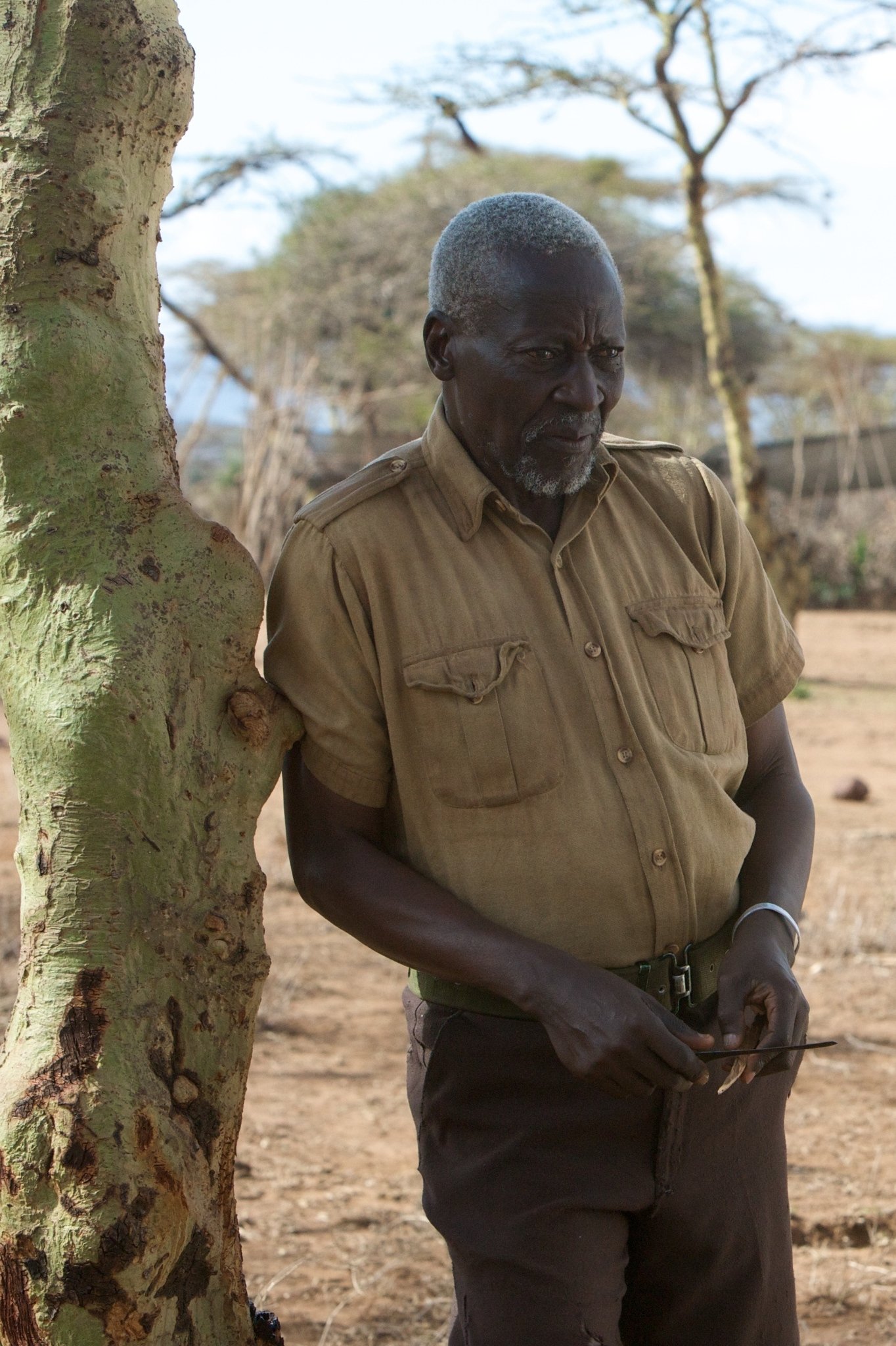 Фото - Первопроходец: 1364x2048 / 457 Кб