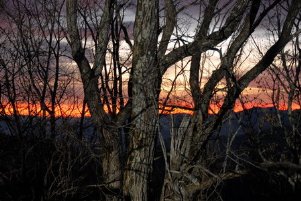 Фото - Город призраков: 301x201 / 24 Кб