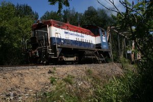 Фото - Укротитель поездов: 300x200 / 23 Кб