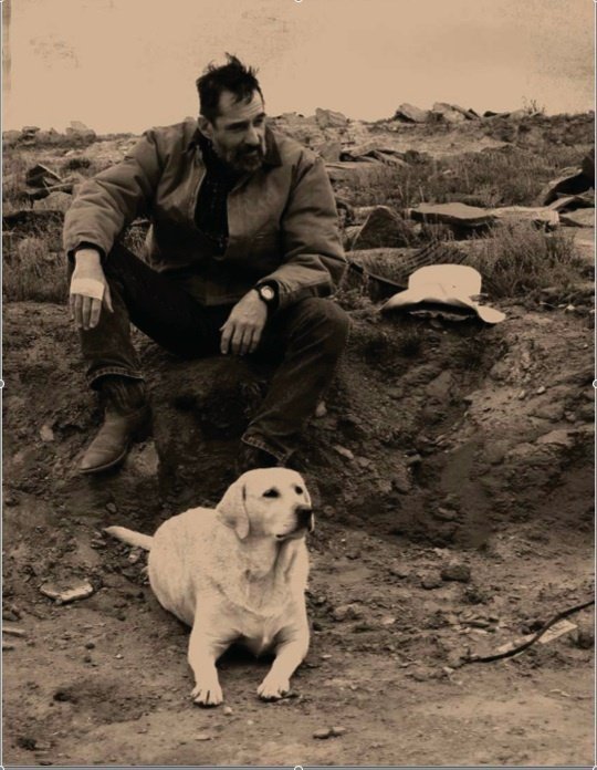 Фото - Сломанные заборы: 540x696 / 83 Кб