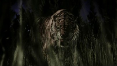 Фото - За 10000 лет до нашей эры: 405x228 / 14 Кб