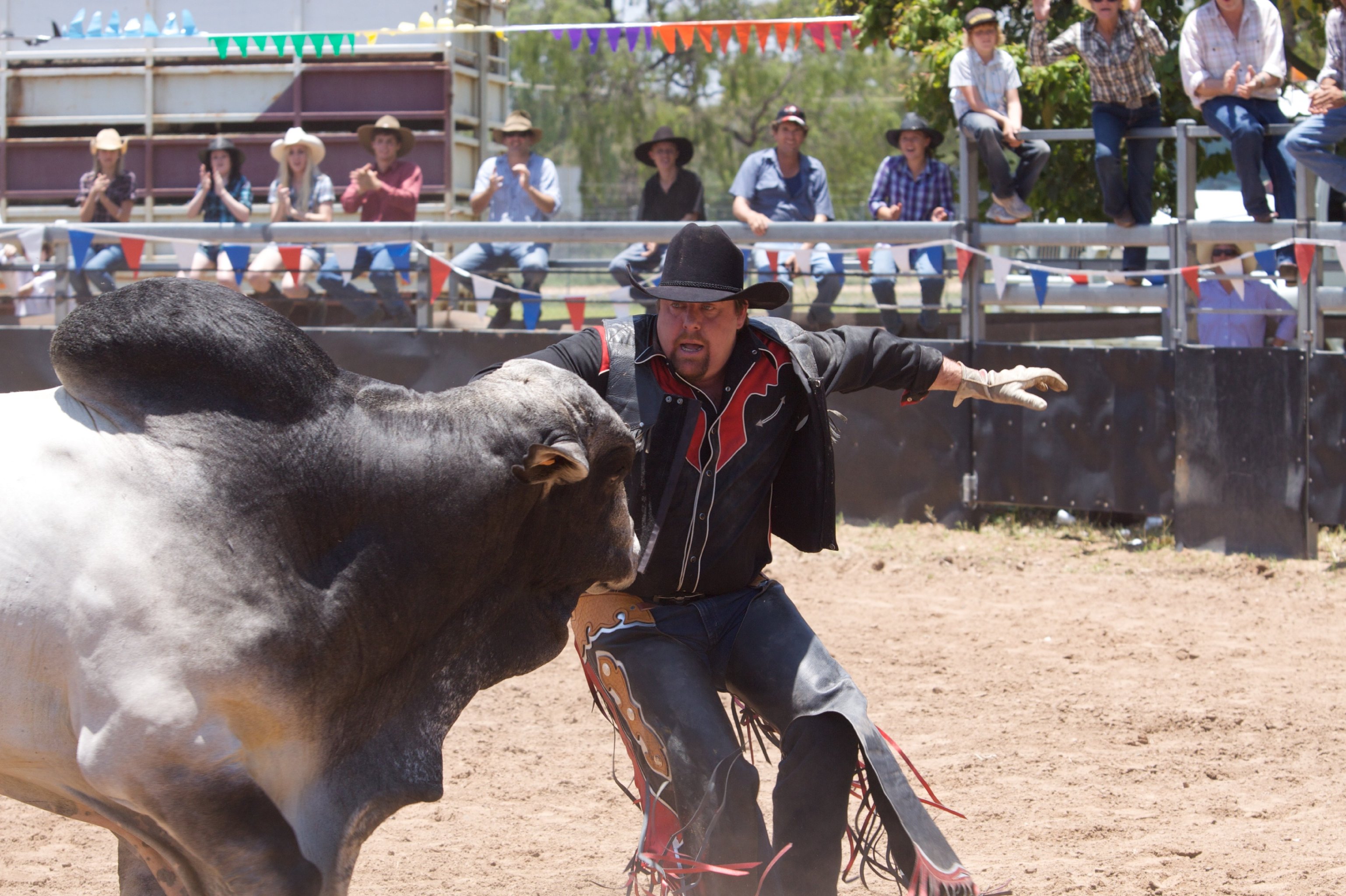 Фото - Чарли и Бутс: 3075x2048 / 863 Кб