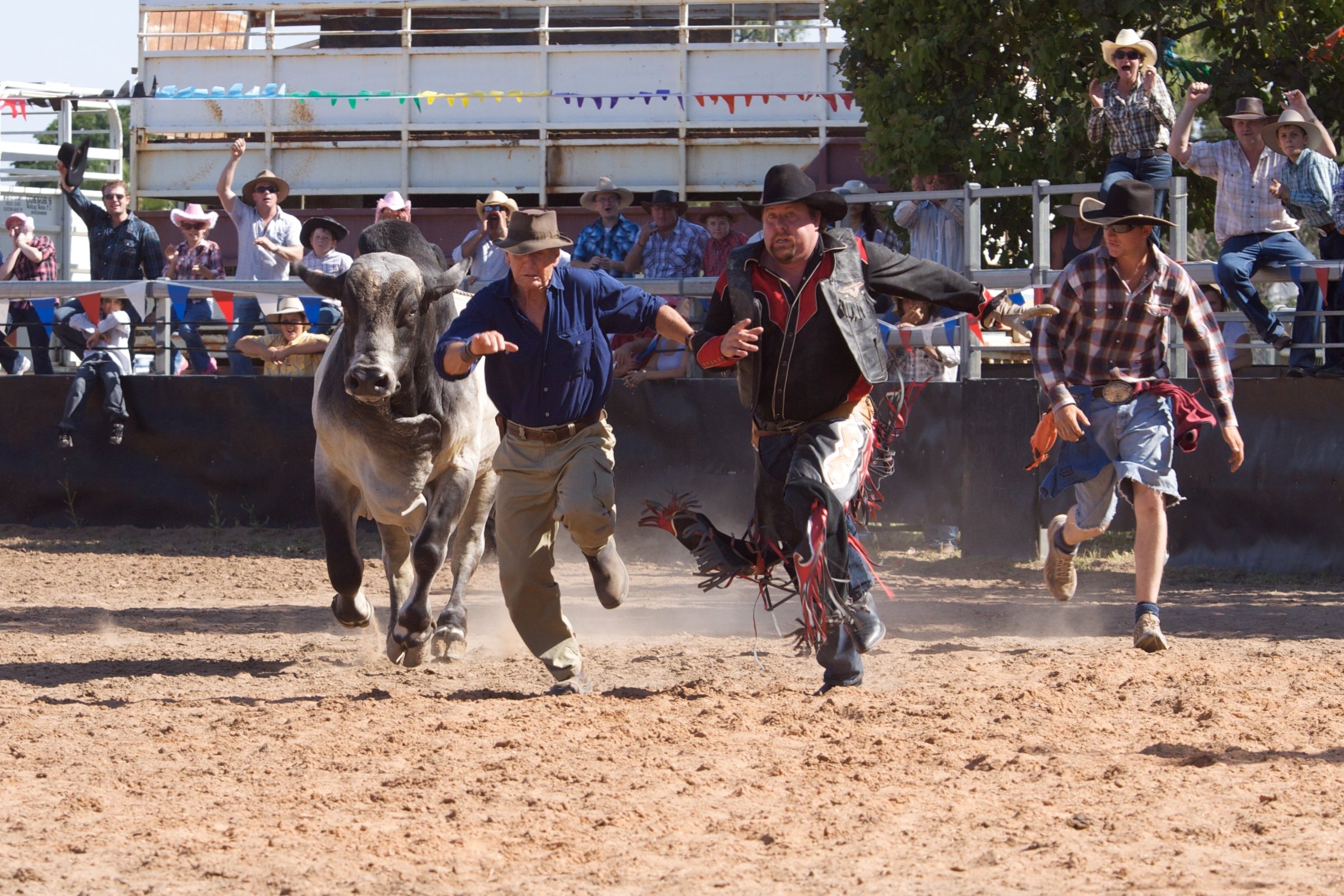 Фото - Чарли и Бутс: 2399x1600 / 759 Кб