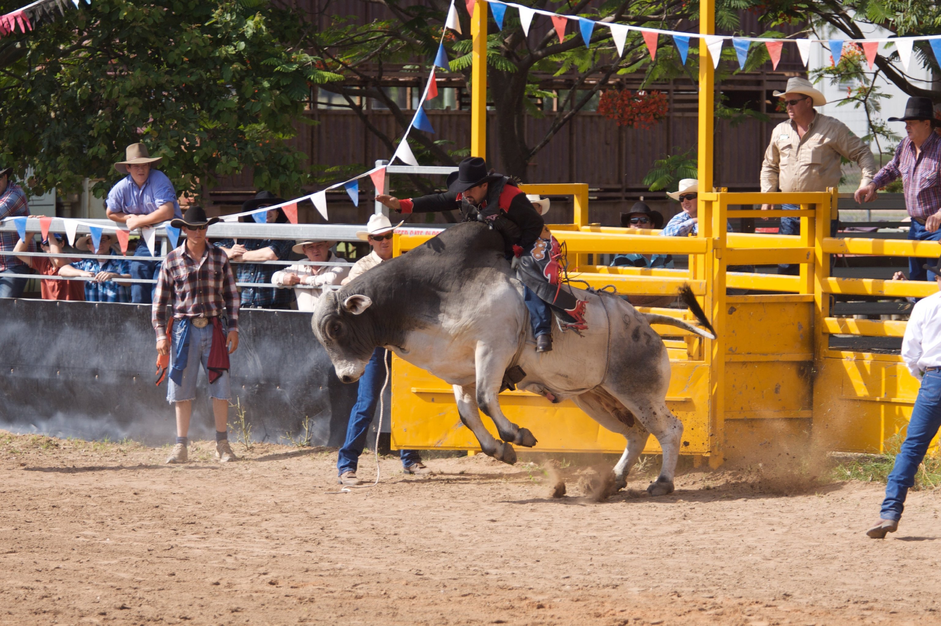 Фото - Чарли и Бутс: 3075x2048 / 1014 Кб