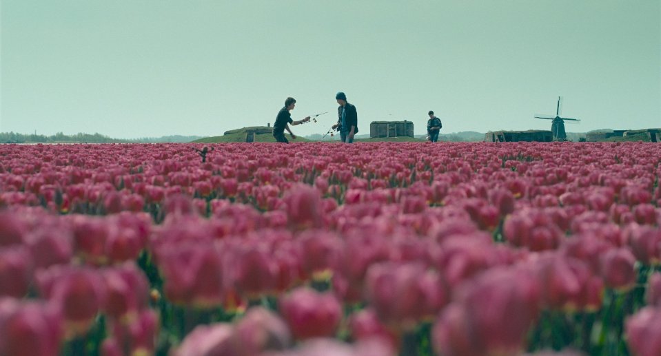 Фото - Шокирующие в голубом: 959x517 / 63 Кб