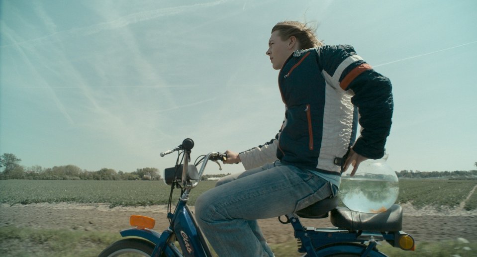 Фото - Шокирующие в голубом: 959x517 / 67 Кб