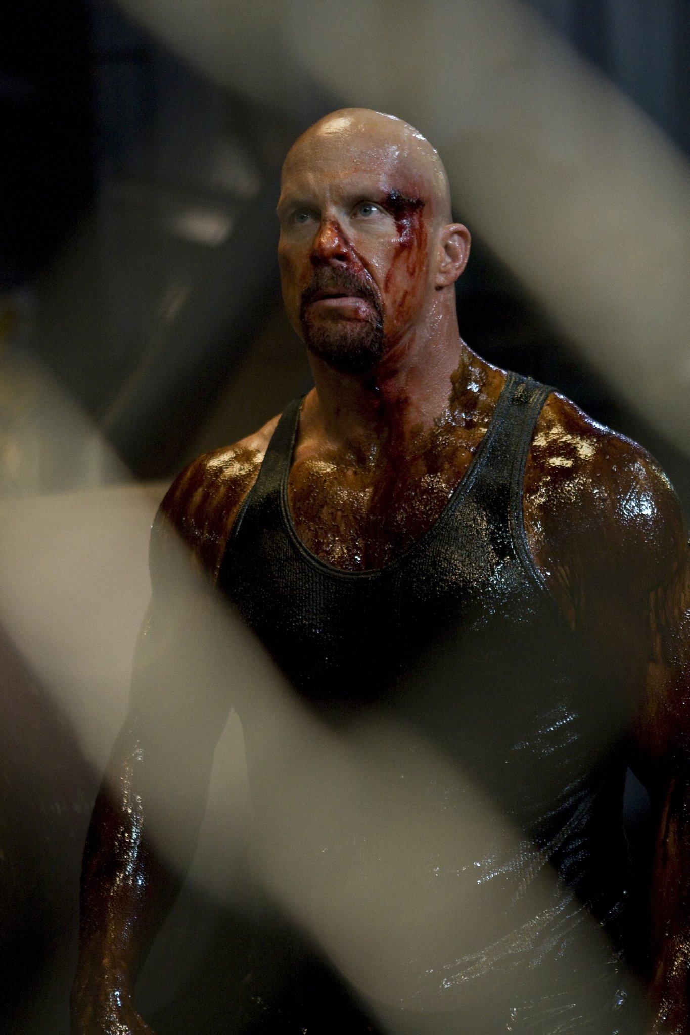 Фото - Ущерб: 1365x2048 / 385 Кб