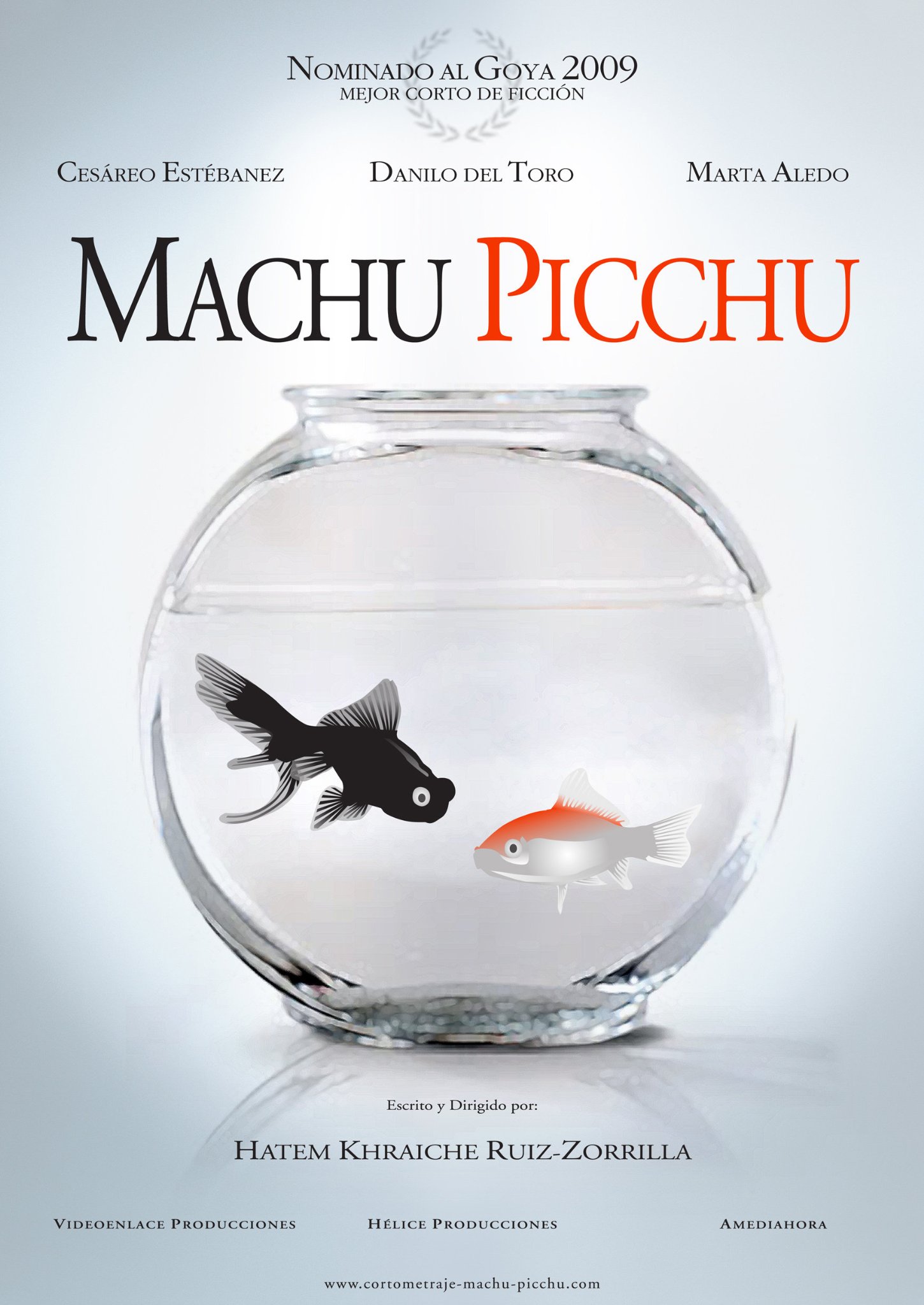 Фото - Мачу Пикчу: 1450x2048 / 252 Кб