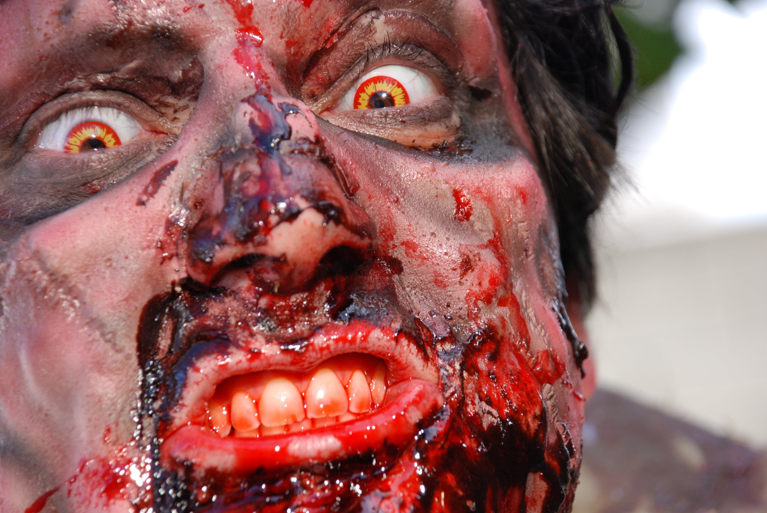 Фото - Ночь тишины, ночь зомби: 2592x1735 / 620 Кб