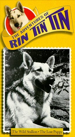 Фото - "The Adventures of Rin Tin Tin": 260x475 / 50 Кб