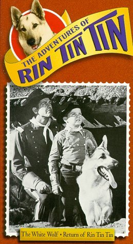 Фото - "The Adventures of Rin Tin Tin": 259x475 / 50 Кб