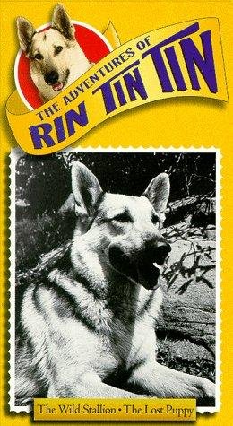 Фото - "The Adventures of Rin Tin Tin": 260x475 / 54 Кб