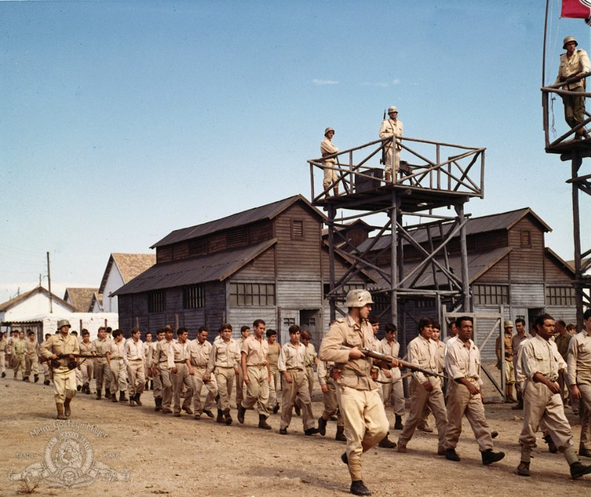 Фото - Крысиный патруль: 860x723 / 142 Кб