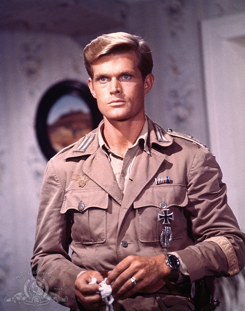 Фото - Крысиный патруль: 806x1023 / 199 Кб