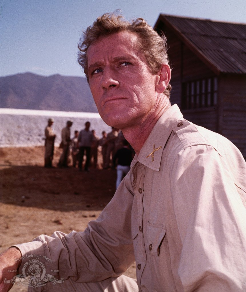 Фото - Крысиный патруль: 861x1023 / 166 Кб