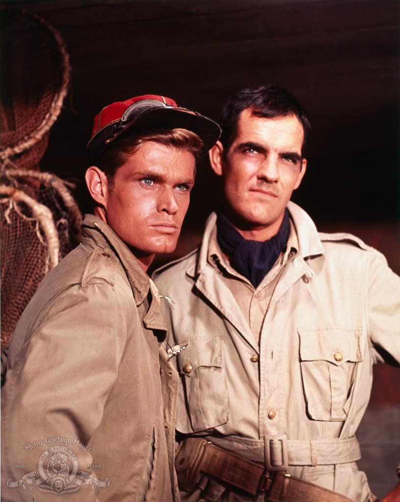 Фото - Крысиный патруль: 816x1023 / 149 Кб