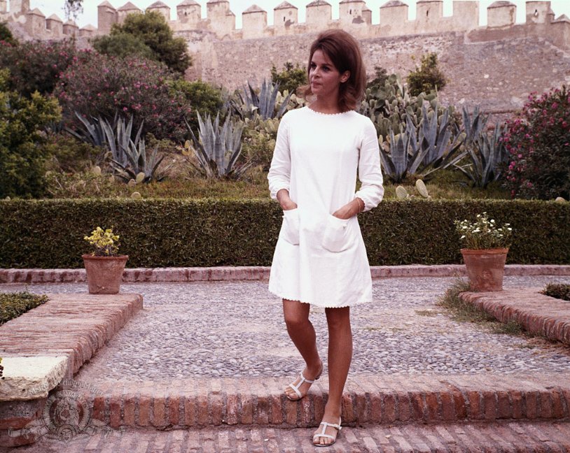 Фото - Крысиный патруль: 814x648 / 164 Кб