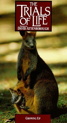 Фото - "The Trials of Life": 260x475 / 38 Кб