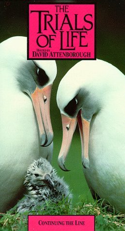 Фото - "The Trials of Life": 258x475 / 34 Кб