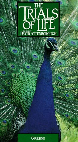 Фото - "The Trials of Life": 262x475 / 54 Кб