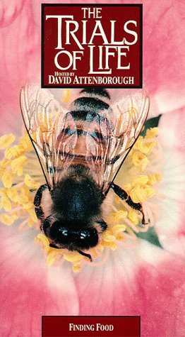 Фото - "The Trials of Life": 262x475 / 40 Кб