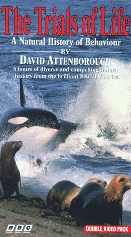 Фото - "The Trials of Life": 263x475 / 41 Кб