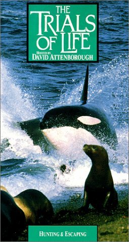 Фото - "The Trials of Life": 255x475 / 44 Кб