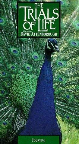 Фото - "The Trials of Life": 262x475 / 58 Кб