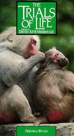 Фото - "The Trials of Life": 260x475 / 48 Кб