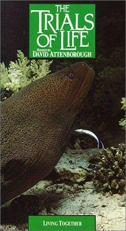 Фото - "The Trials of Life": 260x475 / 43 Кб