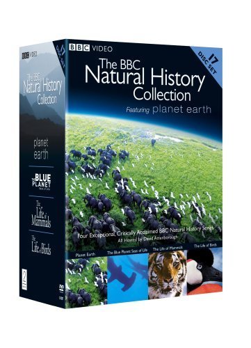 Фото - "The Life of Birds": 361x500 / 42 Кб