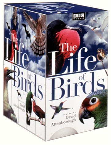 Фото - "The Life of Birds": 362x475 / 46 Кб