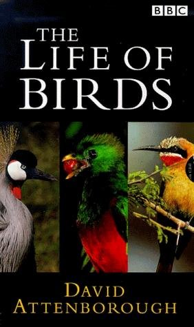 Фото - "The Life of Birds": 282x475 / 30 Кб