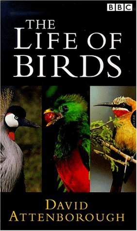 Фото - "The Life of Birds": 282x475 / 34 Кб