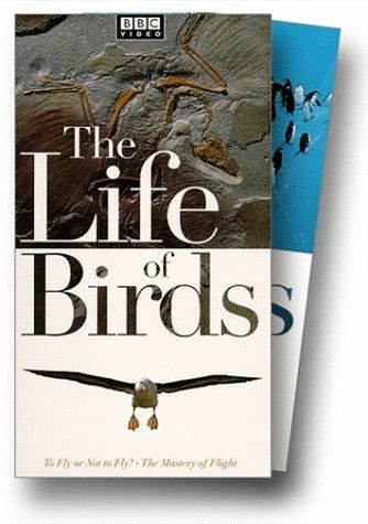 Фото - "The Life of Birds": 334x475 / 43 Кб