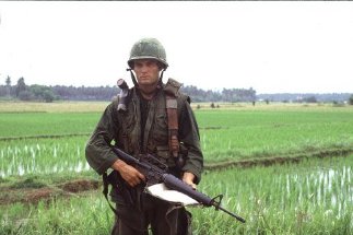 Фото - Поле боя : 323x215 / 18 Кб