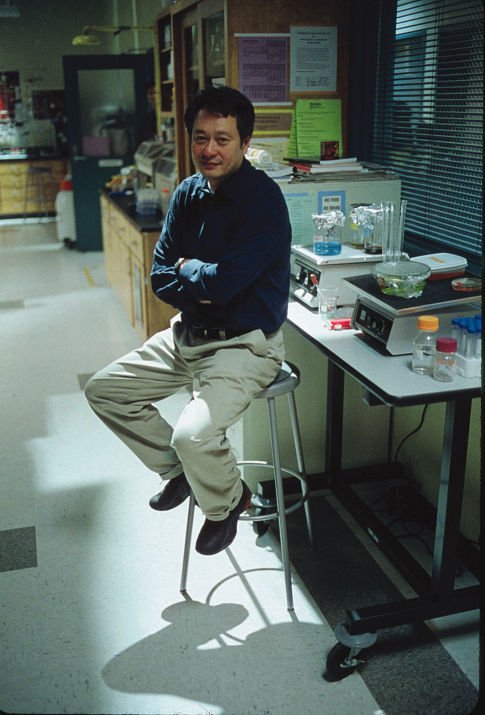 Фото - Халк: 485x715 / 65 Кб